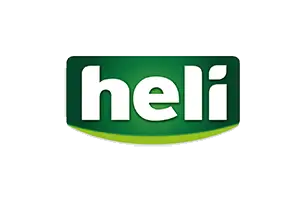 Audity_logo_heli